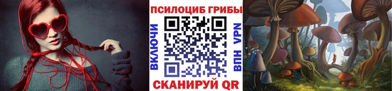 Купить закладки  Новоаннинский  Псилоцибиновые грибы Cubensis 