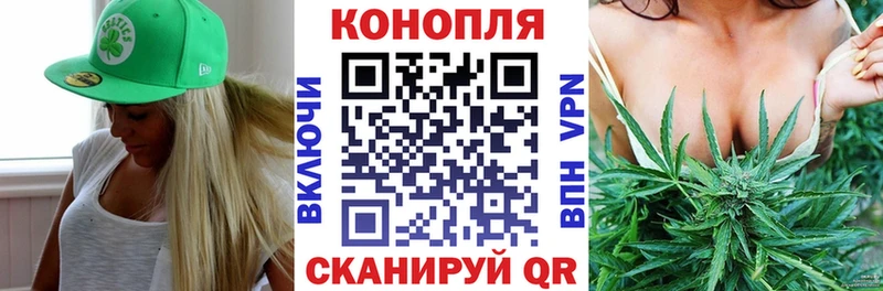 Купить где  Новоаннинский  Каннабис тримм 